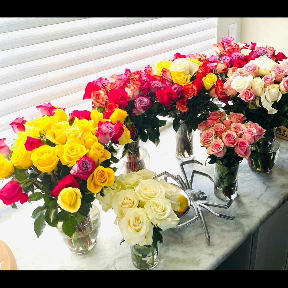 Meet your Posher, Alexis